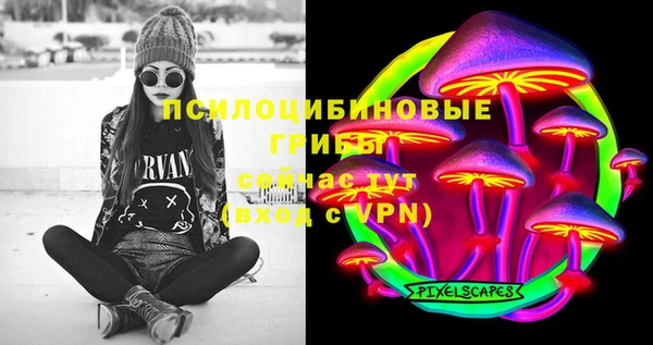 соль ск Лихославль