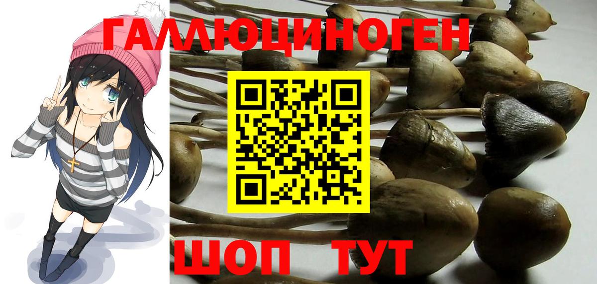 Галлюциногенные грибы Psilocybine cubensis  Псилоцибиновые грибы ЛСД  Вход с VPN  Фурманов 