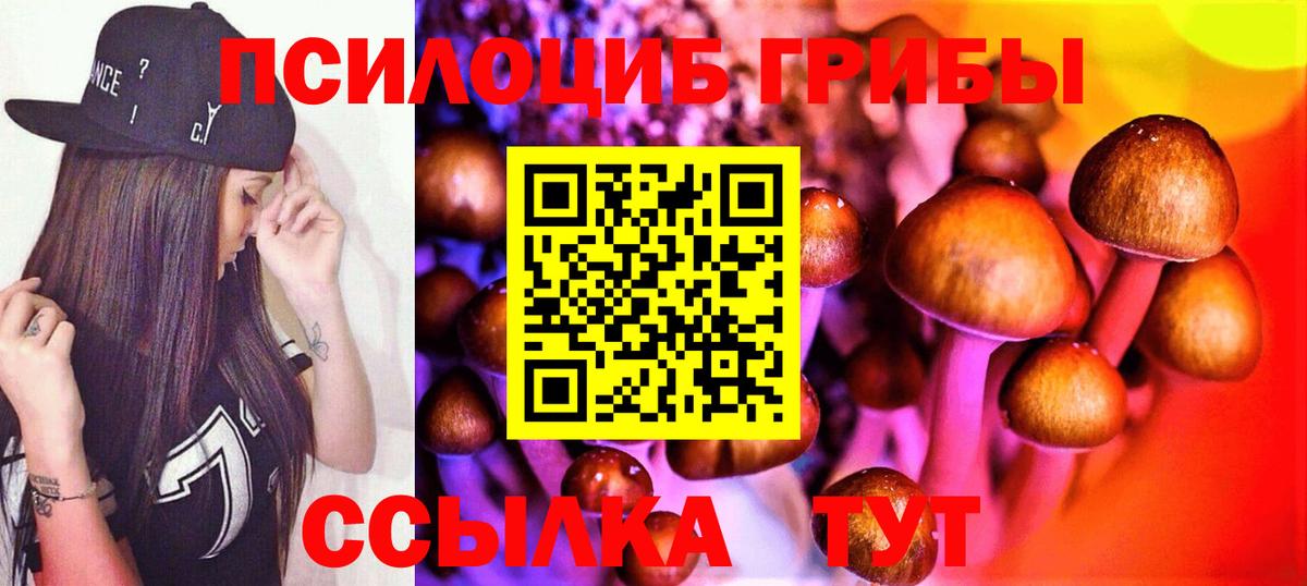 Псилоцибиновые грибы Cubensis  Фурманов 